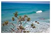 Pacific Horizons Resort contacts